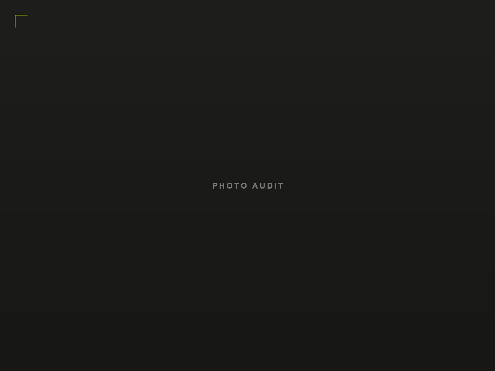 Photo Audit