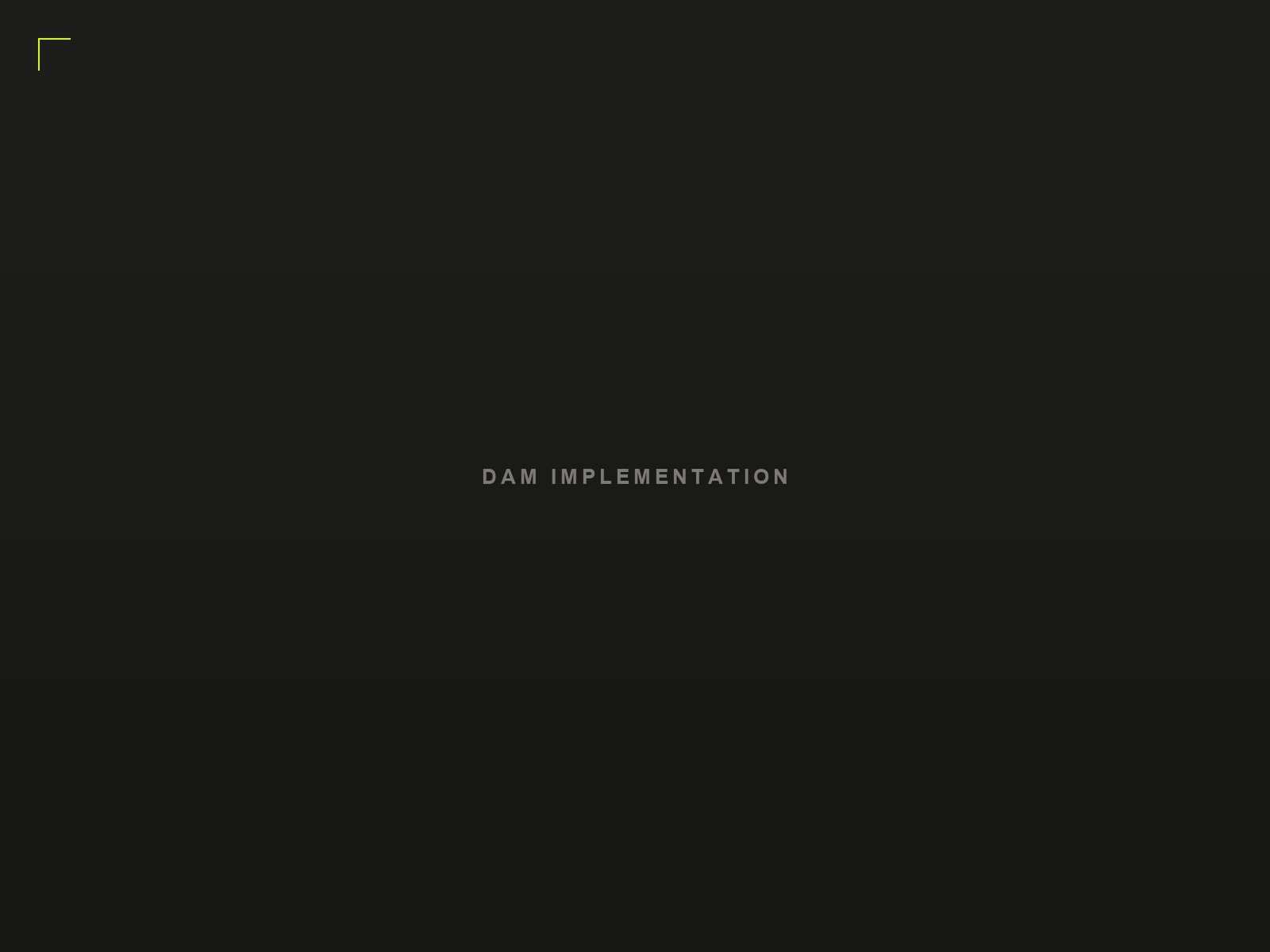 DAM Implementation