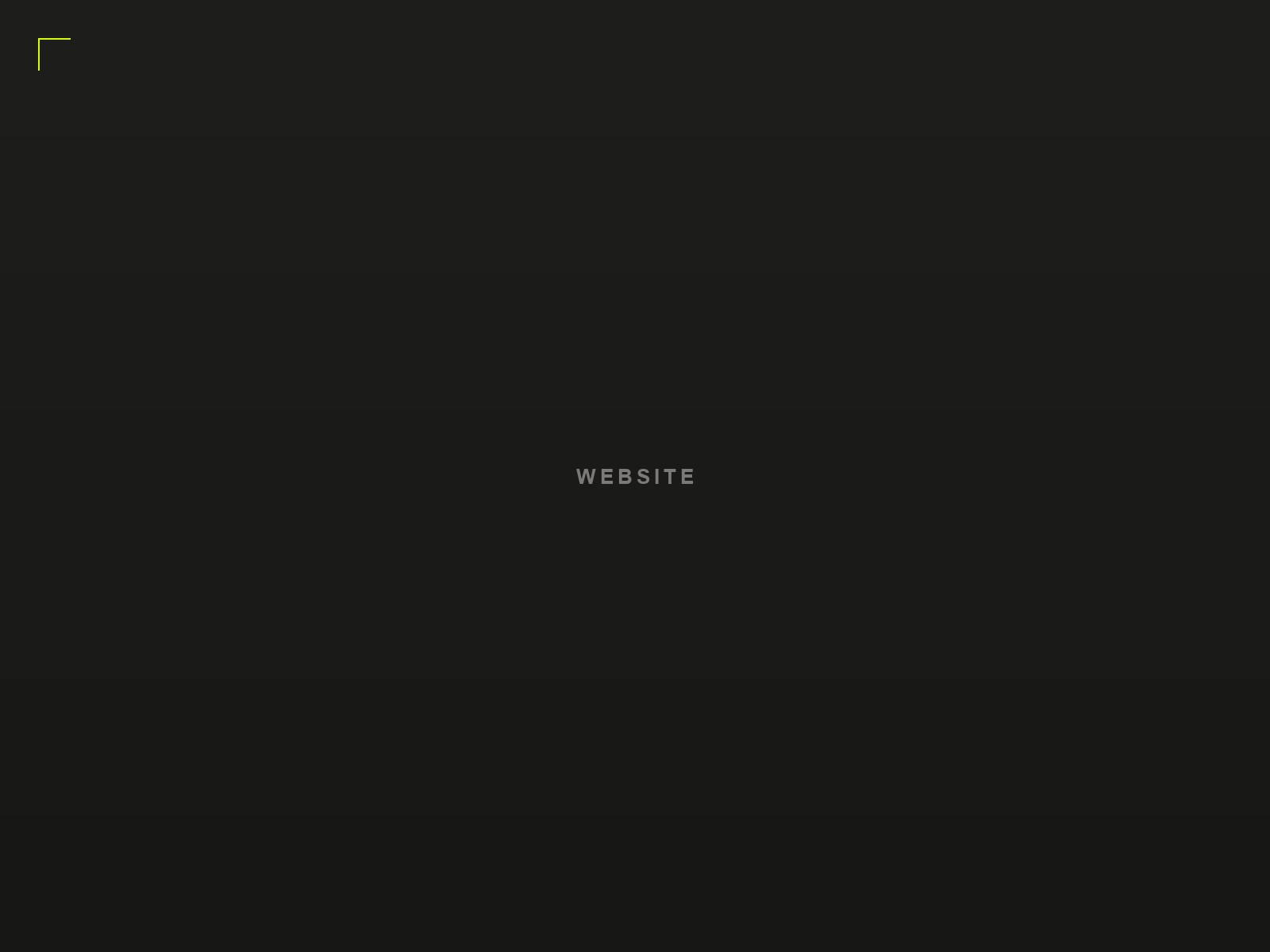 Website — click to view brochure